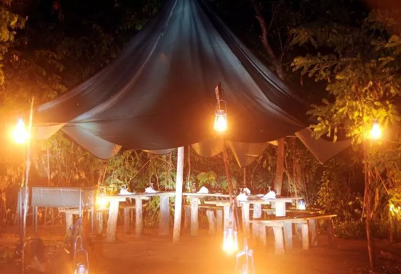 Отель Sigiriya Lodge Hostel