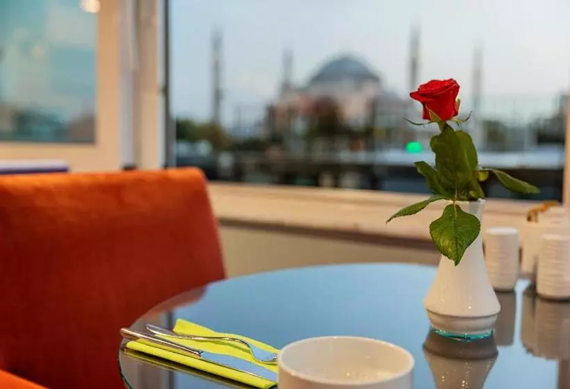 ホテル The Magnaura Palace