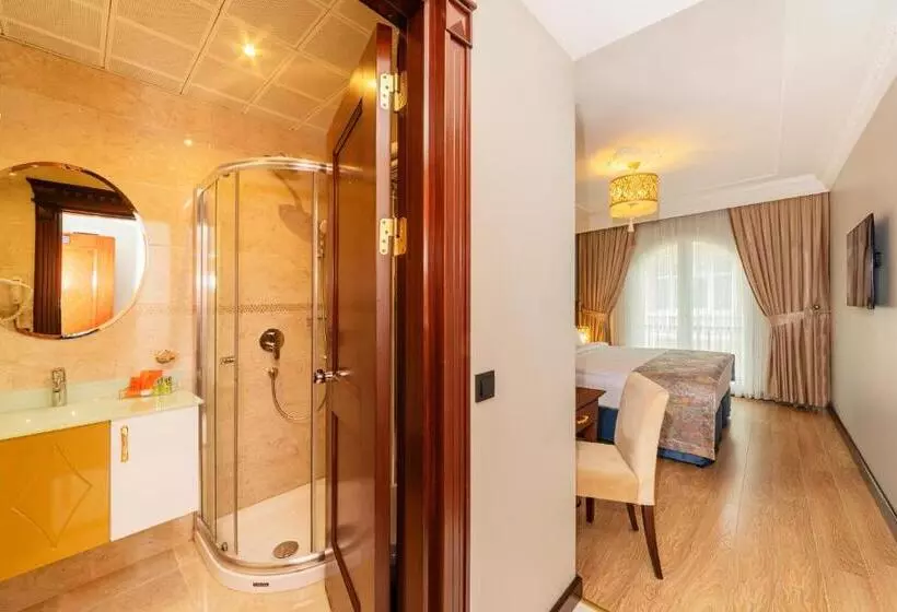 ホテル The Magnaura Palace