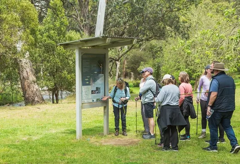 Mansfield Apartments