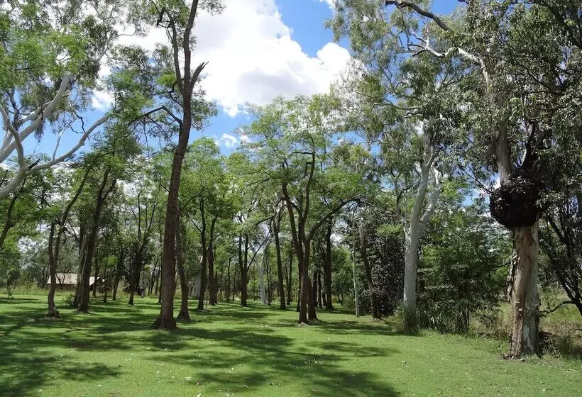 ホテル Bell Gorge Wilderness Lodge