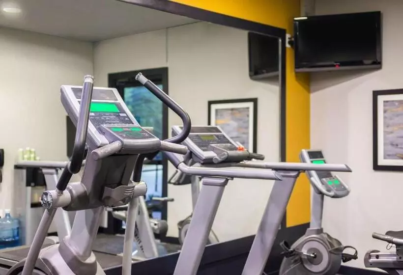 酒店 Best Western Plus Regency Park