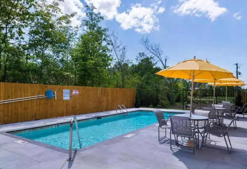 酒店 Best Western Plus Regency Park