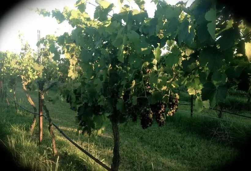 酒店 Bluebush Estate