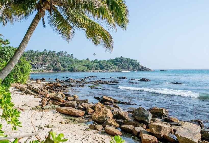 فندق Jasper House