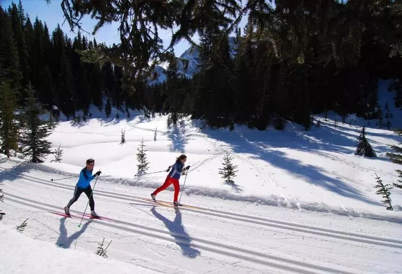 酒店 Pomeroy Inn And Suites Vermilion