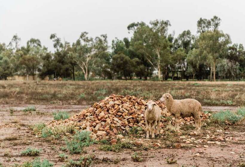 酒店 Saltbush Retreat