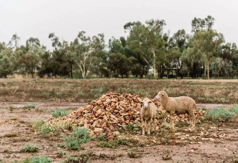 ホテル Saltbush Retreat