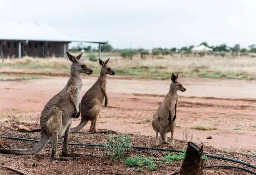 ホテル Saltbush Retreat