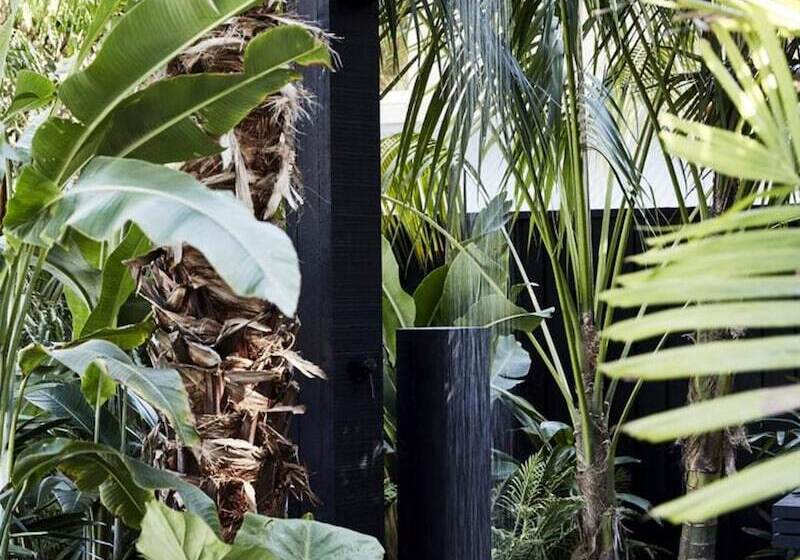 בית מלון כפרי The Bower Byron Bay