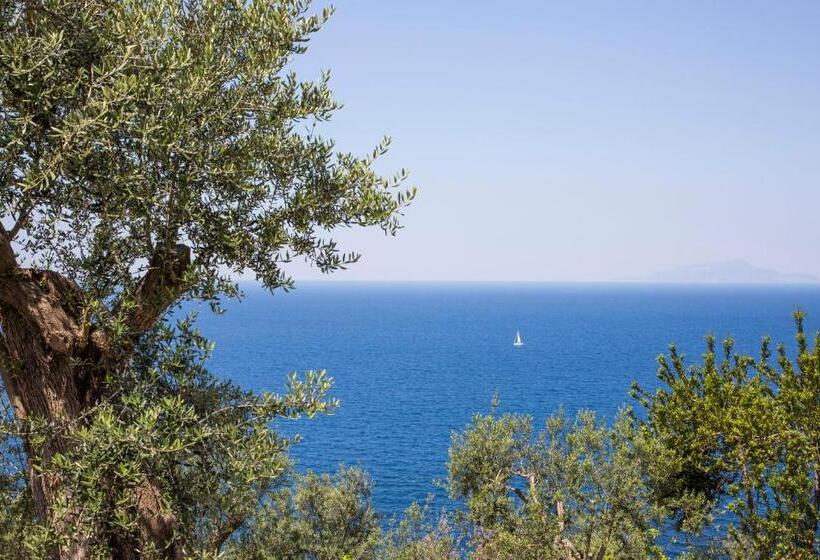 ホテル Villa Fiorella Art