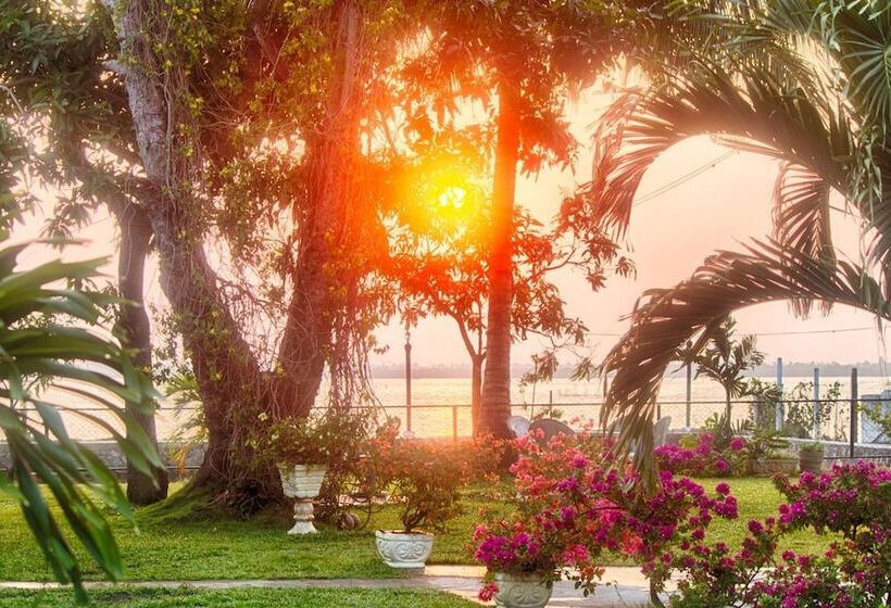 مبيت وإفطار White Palace