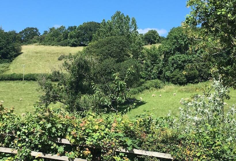 Four Seasons Bed And Breakfast