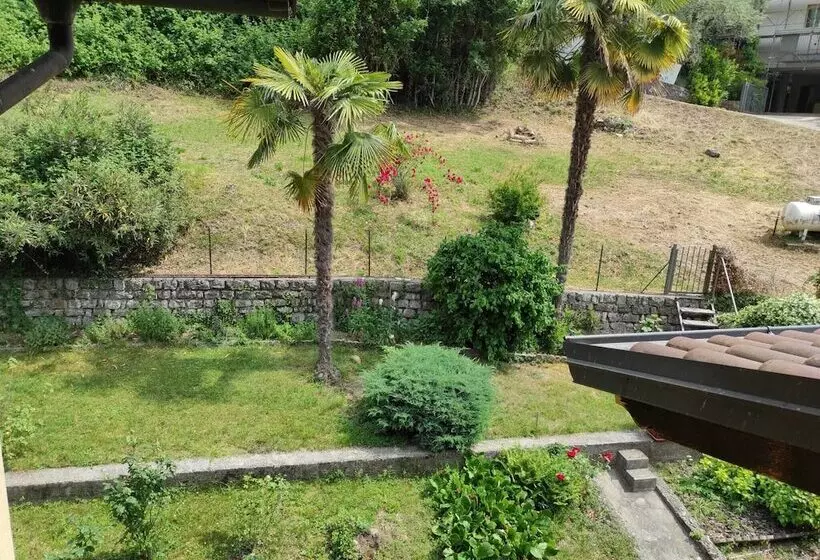 Отель Albergo Stella D Italia