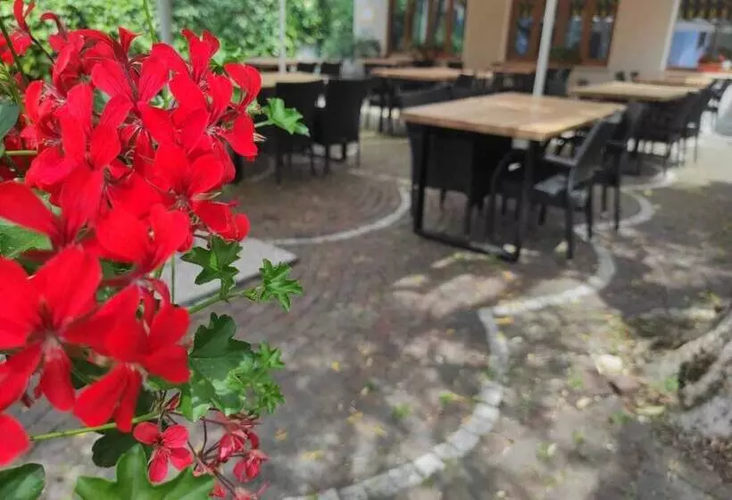 Отель Albergo Stella D Italia