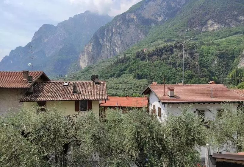 Отель Albergo Stella D Italia