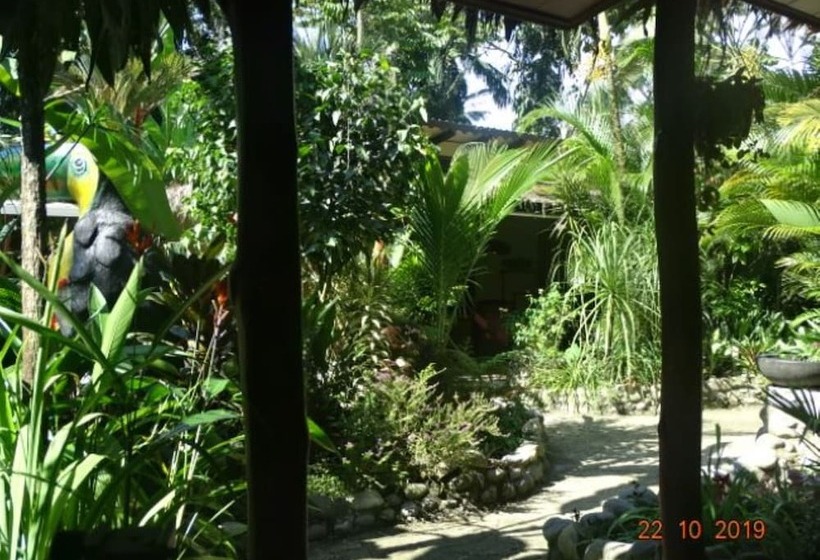 فندق Casa Caribbean Coconut