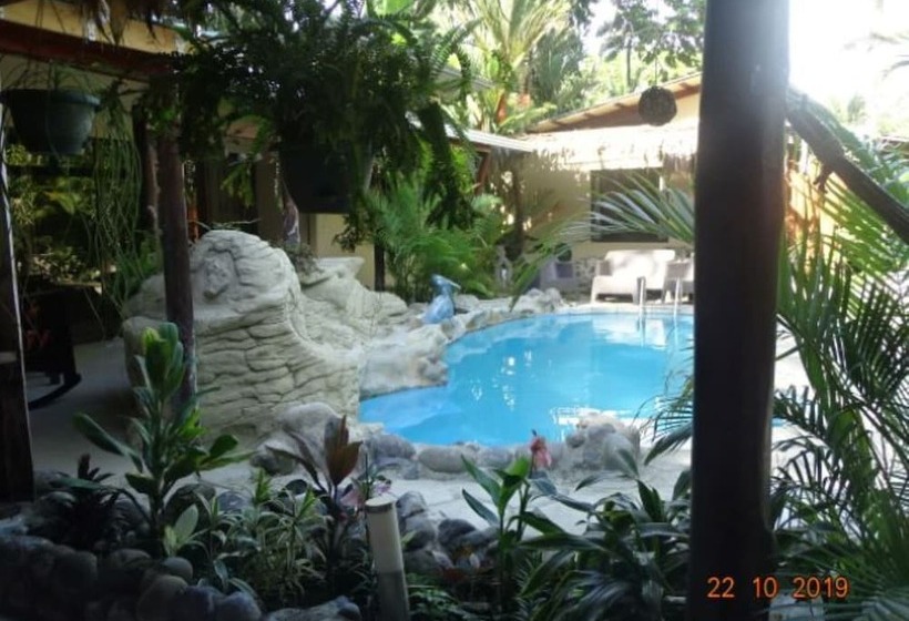 فندق Casa Caribbean Coconut