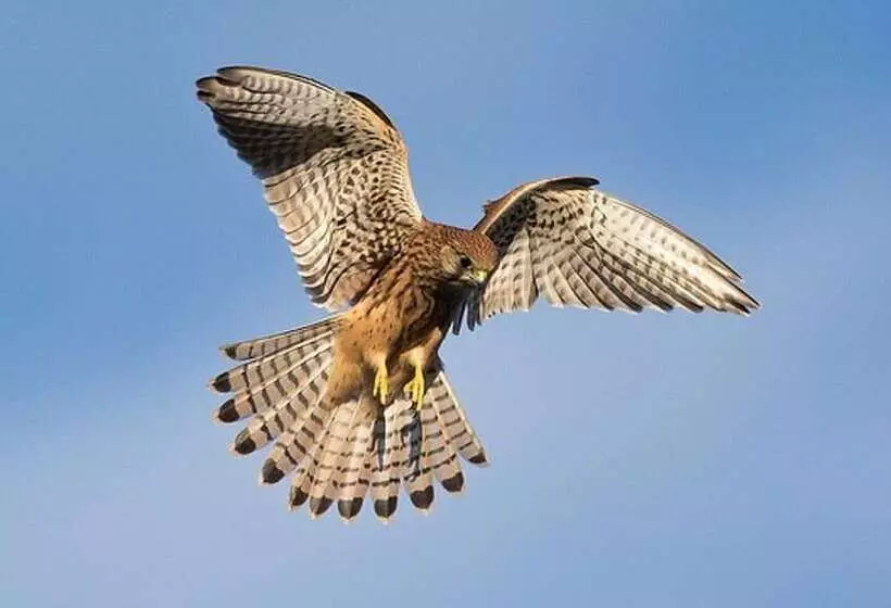 Cotswolds Hotel & Spa