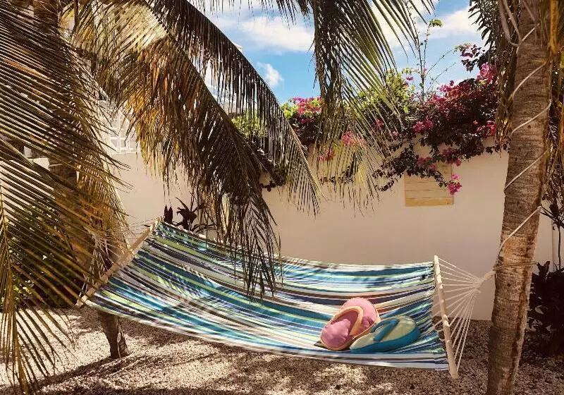 هتل Karibu Aruba Boutique