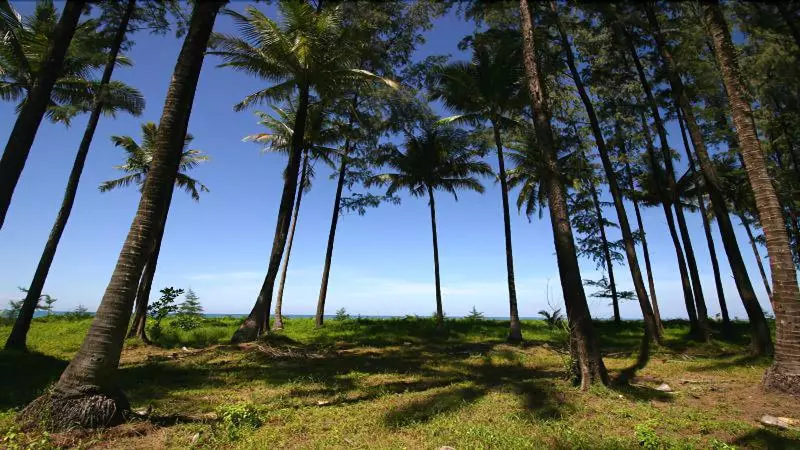 Отель Khaolak Blue Lagoon Resort Sha Extra Plus