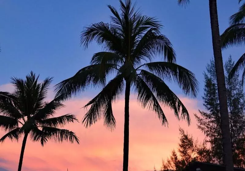 Отель Khaolak Blue Lagoon Resort Sha Extra Plus