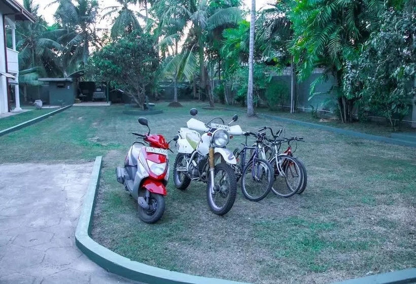 Пансион Negombo Village