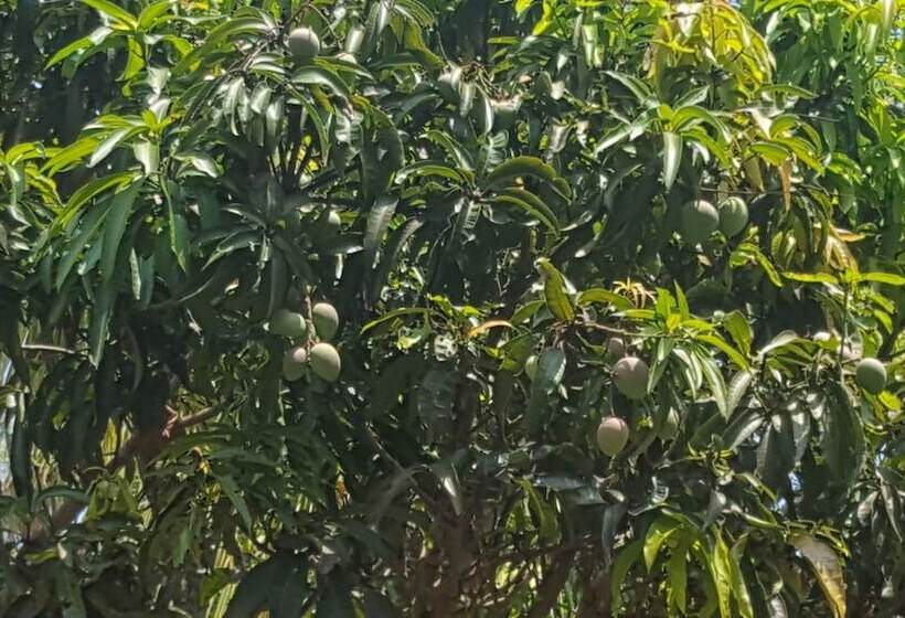 펜션 Negombo Village