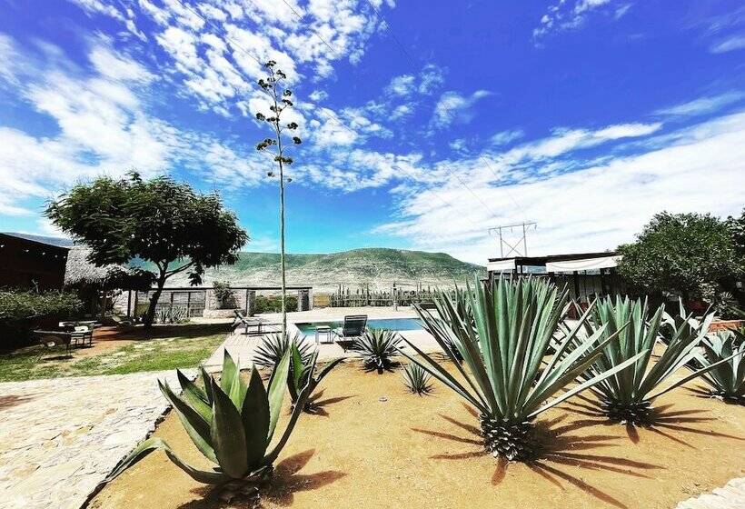 Отель Casa Regina Oaxaca