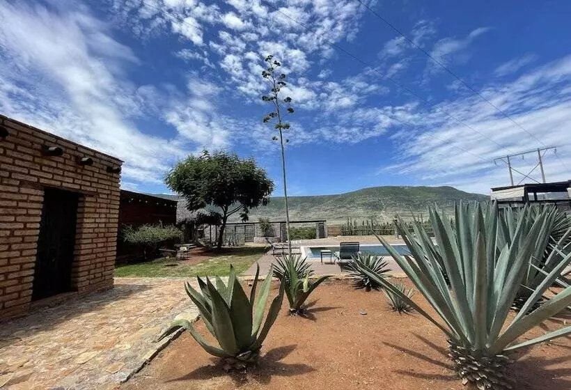 Hotelli Casa Regina Oaxaca