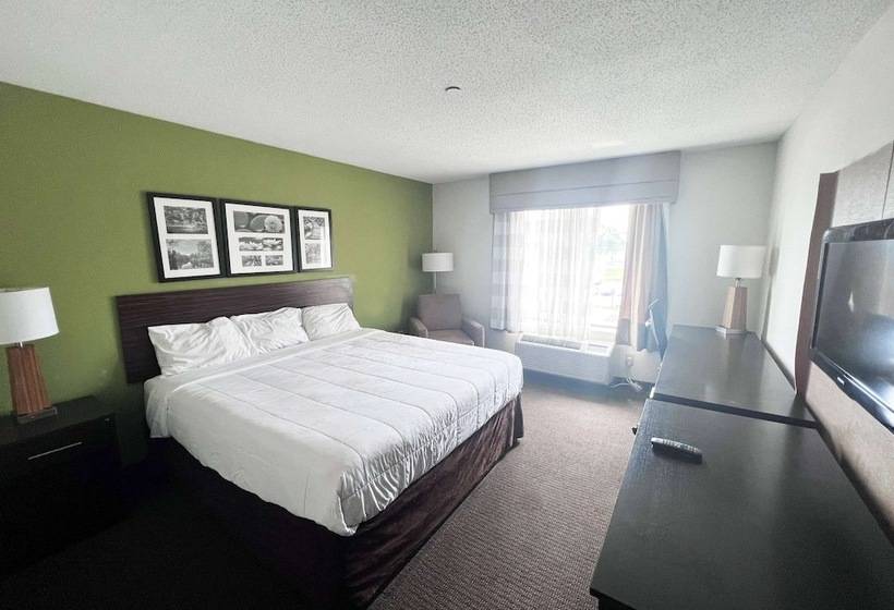 Отель Ramada By Wyndham Jackson Ms