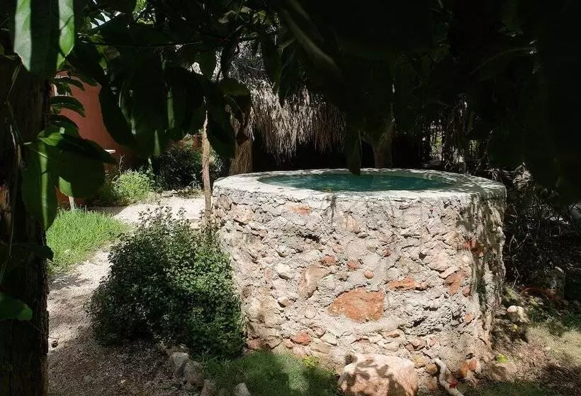 Lomakeskus Saakluum Ruta Puuc