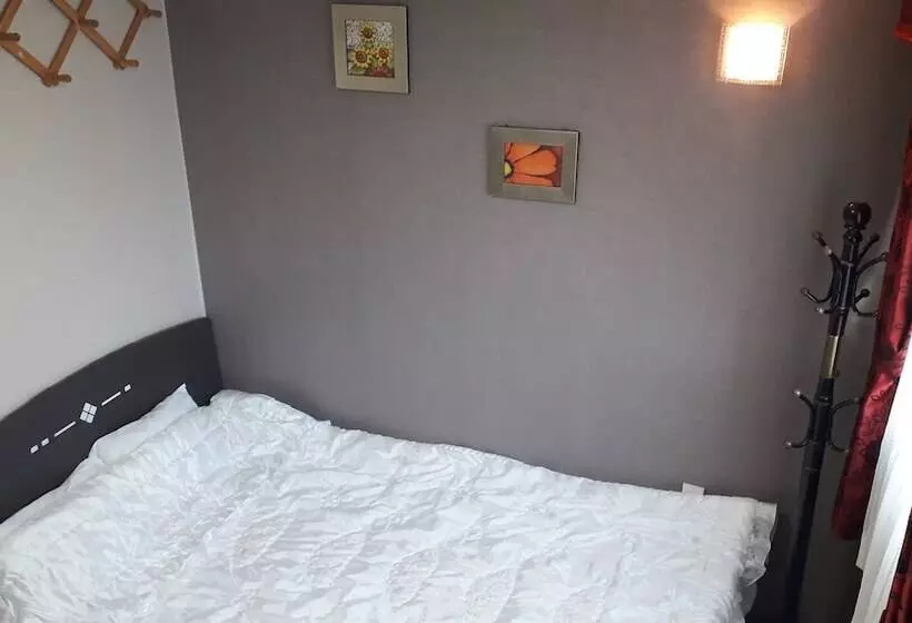 Retkeilymaja Jeju Stay