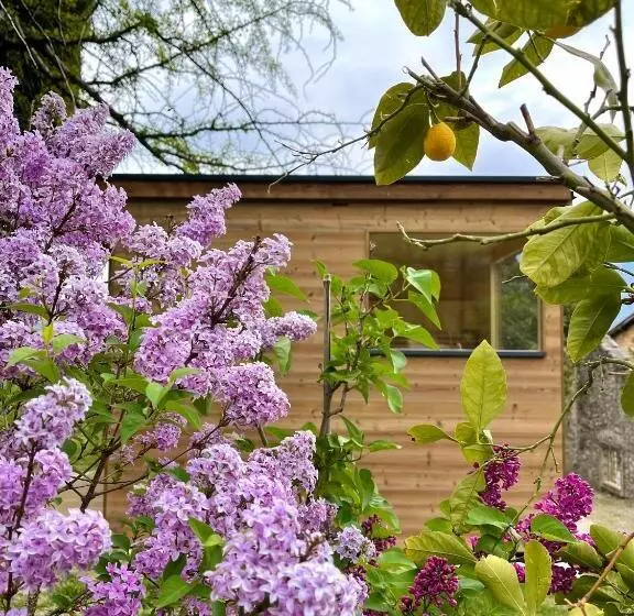 فندق Villa Angelica