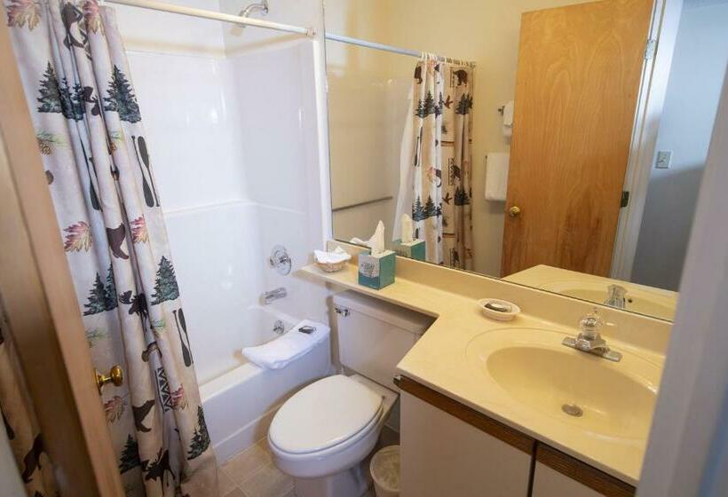 Mountain Lodge At Okemo