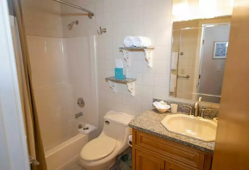 Mountain Lodge At Okemo