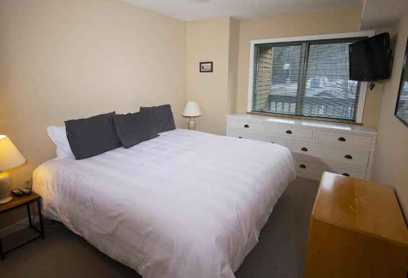 Mountain Lodge At Okemo