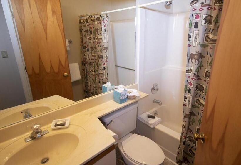 Mountain Lodge At Okemo