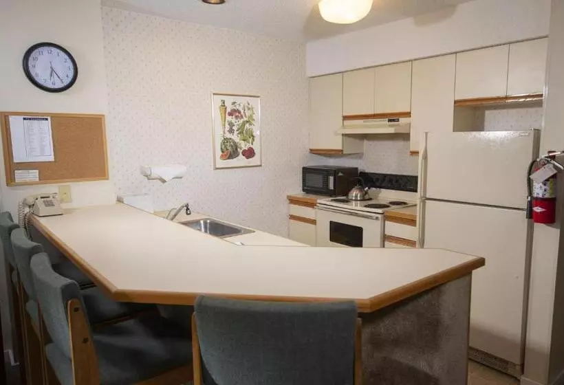 Mountain Lodge At Okemo