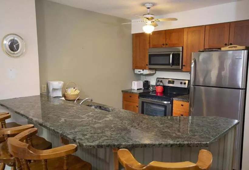 Mountain Lodge At Okemo