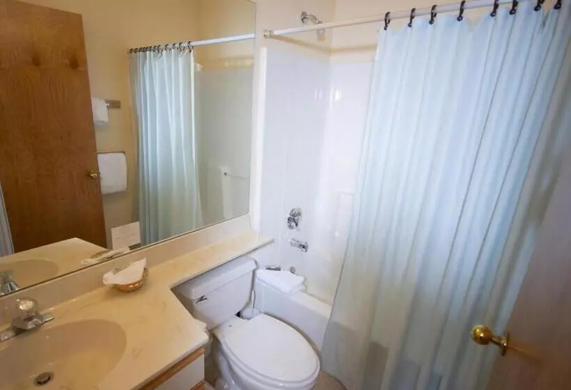 Mountain Lodge At Okemo