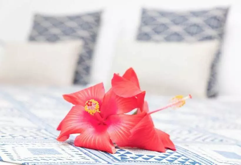 هتل Castaway Norfolk Island