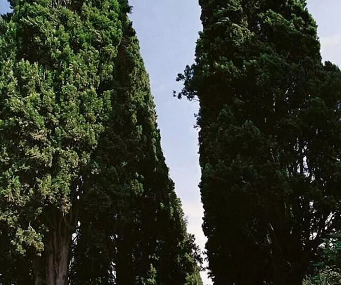 Отель La Casalta