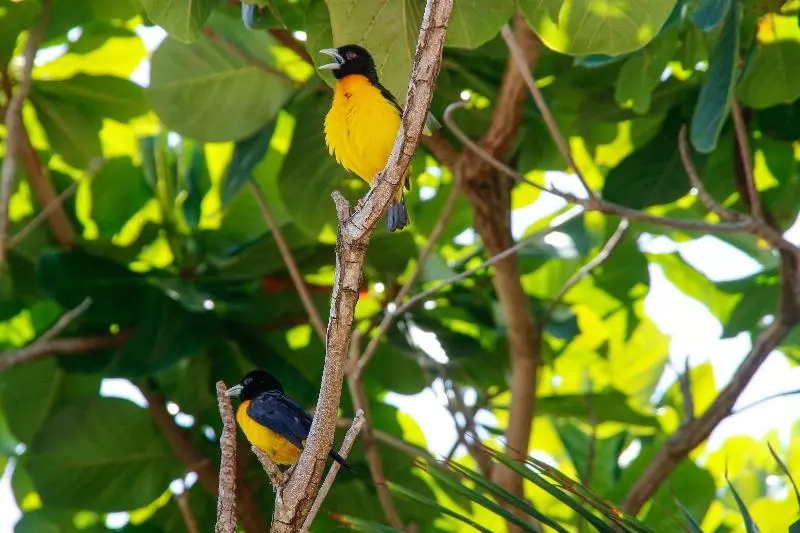 호텔 White Rose Beach