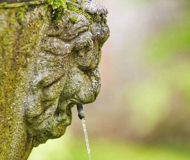 بنسيون The Old Coach House