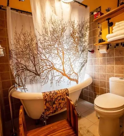 Bed And Breakfast Panorama