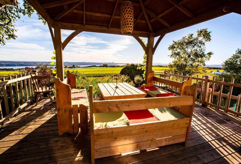 Bed And Breakfast Panorama