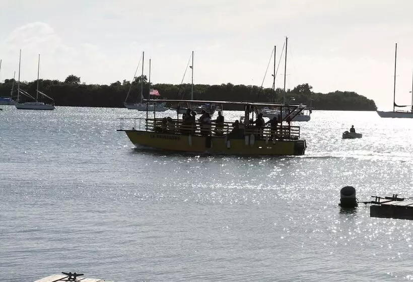 پانسیون Playa Apartments