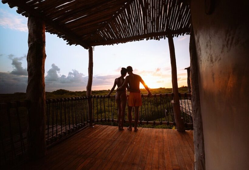 فندق Shibari   Restaurant & Cenote Club