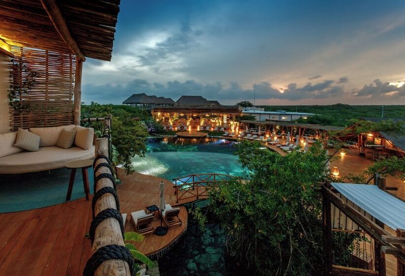 فندق Shibari   Restaurant & Cenote Club